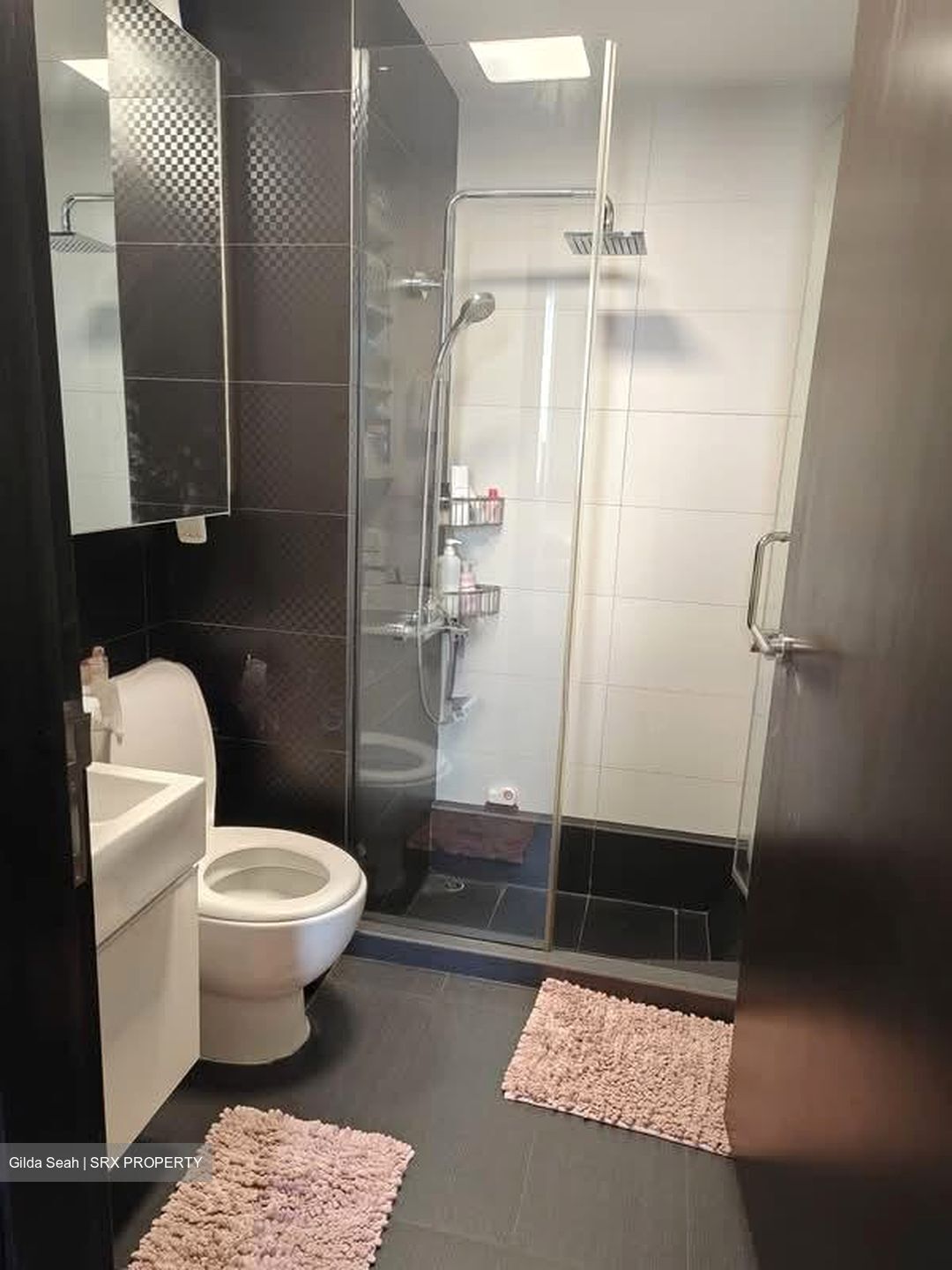 Haig 162 (D15), Apartment #576517361